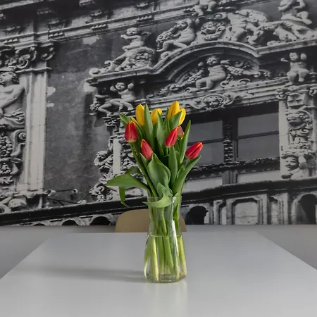 Viva Bed & Breakfast Catania